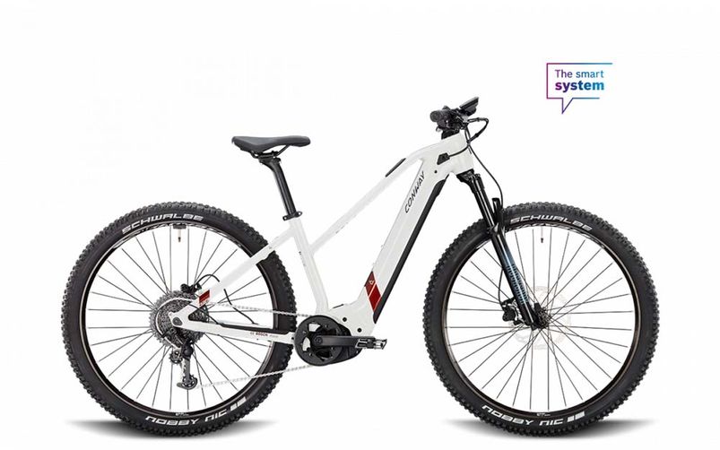 E-MTB